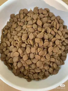 Cibo per animali domestici principale essiccato di alta qualità-cibo per gatti per cani ad alto contenuto proteico