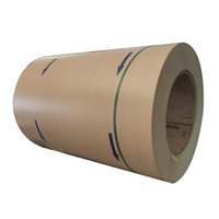 Bobine d'acier laminé à froid de haute qualité, norme JIS, prélaquée, pour la construction, porte de garage en bois peinte, plaque d'acier haute résistance