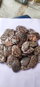 Pierres précieuses en jaspe léopard de haute qualité, formes variées, pour la fabrication de bijoux, prix de gros - Product Image 4