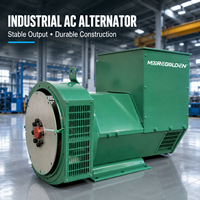 Alternateur synchrone sans balais 300 kVA 50 Hz 60 Hz avec régulateur de tension automatique