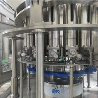 Complete volautomatische lijn voor de verwerking van vers fruit sap / drankenproductielijn / sapvulfmachine