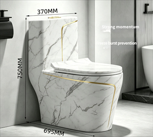 <span class=keywords><strong>WC</strong></span> Moderno in Ceramica Colorata con Sifone, Design Eco-Friendly a Doppio Scarico, Montaggio a Pavimento, Funzioni di Risparmio Idrico e Deodorante - Product Image 2