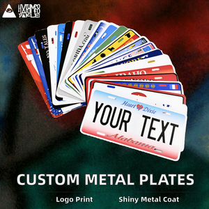 Acceptation des petites commandes, plaque d'immatriculation personnalisée FR DRAGON LZ en aluminium brillant avec une épaisseur de 0,5 mm/0,7 mm/1 mm pour la décoration automobile - Product Image 2