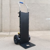Machine à monter les charges électrique de 400 kg de capacité avec moteur en acier et roues en caoutchouc pour le transport de matériaux sur les chantiers de construction