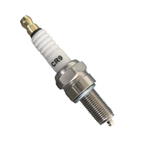 Tronçonneuse Jardin Bujias CR9E F5TC F6TC F7TC BM6A A7TC 168F 170F E6TC 152F 154F GX35 Bougies D'allumage Pour Moto 2 Temps