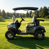 Voiturette de golf électrique personnalisée Rainbow 2 places, batterie lithium 48V, 5kW, certifiée GCC, pour parcours de golf