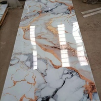 Panel de Pared de PVC con Textura Dorada y Efecto Mármol UV, Paneles 3D y Paneles de Plástico con Aspecto de Piedra para Decoración de Salas de Reuniones, Panel para Mampara de Ducha de 3mm