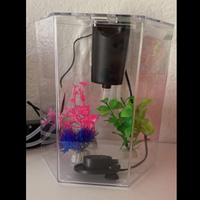 Vente en gros d'aquarium en plastique écologique personnalisé petit aquarium en forme de polygone conception de cylindre
