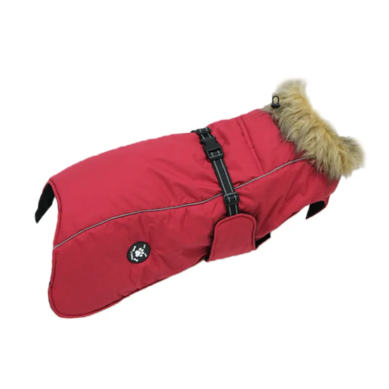 Üretici toptan çok renkler Coat Whippets İtalyan greyhdog yumuşak kapitone su geçirmez sıcak kış özel Pet köpek giysileri