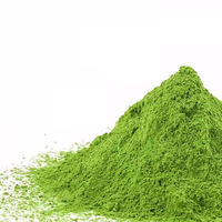 Poudre de thé matcha certifiée en gros pour lattes, smoothies, desserts, complément énergétique de qualité alimentaire pour adultes