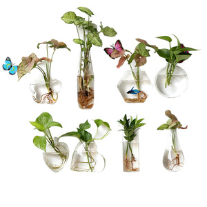 Maceta <span class=keywords><strong>de</strong></span> Cristal Creativa para Plantas Hidropónicas Colgantes, con Forma <span class=keywords><strong>de</strong></span> <span class=keywords><strong>Huevo</strong></span> <span class=keywords><strong>de</strong></span> Dinosaurio, para Montar en la Pared, Transparente, para Flores, Pecera Pequeña, Estilo Moderno y Simple - Product Image 1