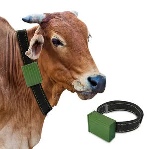 Batteria lunga mucca bovini cheep cavallo animali dispositivo di localizzazione gps ip67 impermeabile 4g lte mucca gps tracker