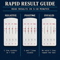 Carte de test rapide 4-en-1 pour chiens, détection des antigènes des virus CDV, CPV, CCV et Toxoplasma – Approvisionnement direct usine