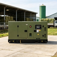 Générateur diesel silencieux Weichai 200 kW avec capot anti-intempéries, triphasé 50 Hz 60 Hz