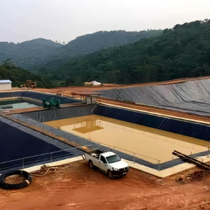 Equipo de Procesamiento de Minerales de Alto Rendimiento: Línea de Máquinas de Lixiviación de Oro a un Precio Razonable - Product Image 6