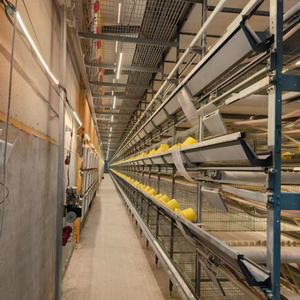 Nuevas Jaulas de Cría Comerciales de Acero Galvanizado con Calentadores para Pollitos de 1 Día - Product Image 6