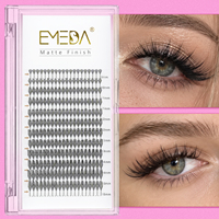 EMEDA En gros Extensions de cils préfabriquées 0.07 Manga Anime Spire Lash Trays, Marque privée, Base fine, Effet 3D, Style Comic Wispy