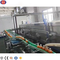 Complete Kleinschalige Sapproductielijn Vruchtensap Productie En Verpakkingslijn