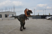 Costume de dragon réaliste grandeur nature pour adulte, costume de dinosaure pour fête, costumes de dinosaures personnalisés