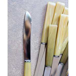 Juego de 11 Cuchillos de Postre Modernos Premium Flaviamastro, Hojas de Acero Inoxidable 3cr13 Hechas a Mano con Mangos de Resina para Rebanar - Product Image 1