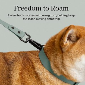 Ensemble collier et laisse en silicone imperméable pour chiens de petite, moyenne et grande taille, réglable, robuste, en PVC, couleur pastel - Product Image 6