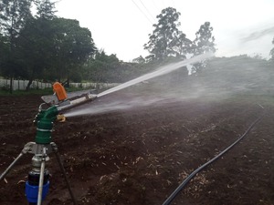 Sistema di Irrigazione a Lungo Raggio per Terreni Agricoli, Irrigatore Automatico a Pioggia con Testa Metallica Rotante a 360 Gradi - Product Image 5