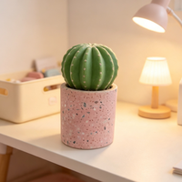 Pot de plante en béton écologique style ferme Terrazzo rose, mini jardinière pour cactus et succulentes, petit récipient d'intérieur pour bureau