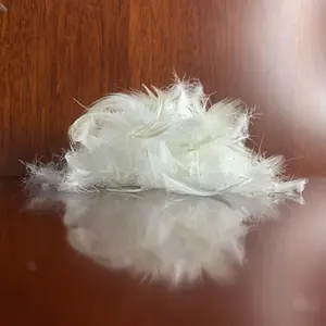 Bán Buôn Rửa Trắng Vịt Xuống Lông Đầy Pluming Công Cụ Comforter Ngỗng Xuống Lông Điền Plume Vịt Lông - Product Image 5