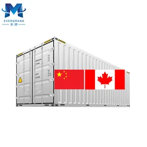 10年货物集运集装箱中国至温哥华多伦多蒙特利尔加拿大门到门代理