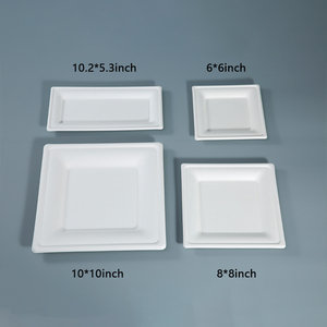 Đĩa vuông sinh học phân hủy được 6 8 10 inch, đĩa dùng một lần chắc chắn, thân thiện với môi trường, làm từ mía, dùng cho tiệc, ăn tối, ăn nhẹ - Product Image 3