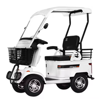 Scooter de mobilité électrique 2 places Minibus avec toit de voiturette de golf personnalisé Nouveau design 800W Digital Smart EBike Moteur de moyeu arrière à vendre