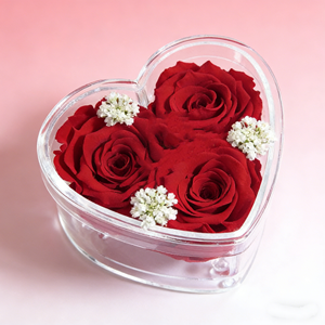 Caja de Flores Acrílica Cuadrada Transparente Personalizada al por Mayor para 3 Rosas - Personalizable - Product Image 3