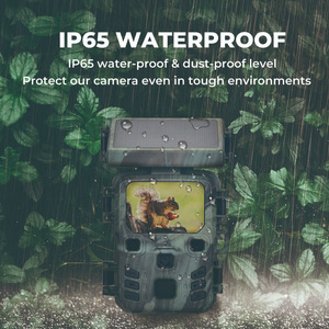 Suntek Trail <b>Camera</b> 50MP 4K <b>Solar</b> Powered With Ir Led For Wildlife Monitoring - Product Image 2