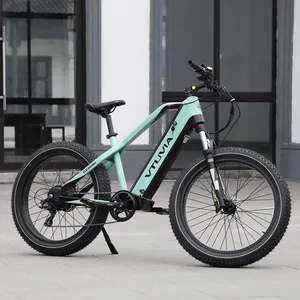 VTUVIA 1000W/2000W mountain ebike 26 inch fat tire full suspension electric bicycle lang range e bike from China supplier