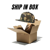 Gorra Snapback Ajustable para Exteriores con Malla Perforada Camuflada, Visera Plana, Perforación Láser, Impermeable, Logotipo Personalizado Bordado/Estampado, OEM/ODM