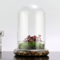 Terrarium en verre pour micro-paysage de plantes de bureau, vase hydroponique en verre pour la décoration, plantes succulentes, fougères, plantes aériennes, vase en dôme