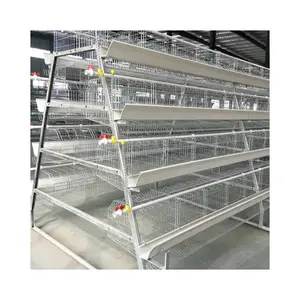 Chicken Layer Cage Poultry Farming Equipment A Type Automatic