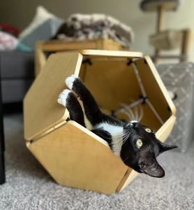 Nuevo Diseño de Cueva Geométrica Desmontable para Mascotas, Muebles de Madera para Mascotas, Jaula para Perros y Gatos, para Exteriores, para Todas las Estaciones - Product Image 3