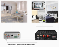 A50 HiFi Wifi BT multiroom stéréo maison puissance sonore Airplay domotique amplificateur audio streamer
