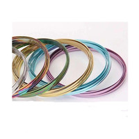 Bracelet à ressort en acier inoxydable, 301/304, bijou magique de forme plate, livraison gratuite
