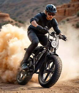 E-bike Off-road <span class=keywords><strong>Vintage</strong></span> da 48V 20" con Motore Potenziato per Maggiore Velocità, Freno Elettronico e Freno a Disco Idraulico Fatbike - Product Image 4