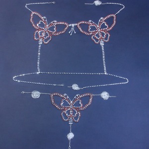 Chaîne de Corps Papillon Sexy en Strass pour Femmes Accessoires de Boîte de Nuit Lingerie de Luxe Ensemble Soutien-Gorge et <span class=keywords><strong>String</strong></span> Bikini Bling <span class=keywords><strong>Bijoux</strong></span> - Product Image 5