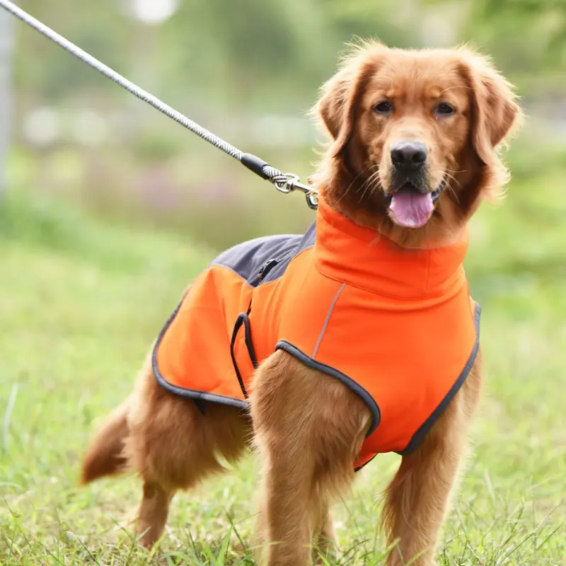 चिंतनशील कुत्ते बनियान हाय-दृश्यता पालतू कपड़ा फ्लोरोसेंट ब्लेज़ नारंगी कुत्ते बनियान Motorists से रक्षा शिकार दुर्घटनाओं