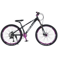 Vélo de montagne en alliage d'aluminium Dry-drop – Freins à disque doubles, design hardcore, 7 vitesses, pour descente, trail, dirt jump et cross-country