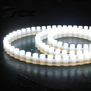 Hochwertige LED-Streifen Leuchte LED-Streifen mehrfarbiges Licht 12V wasserdichte flexible Kupfer LED-Streifen