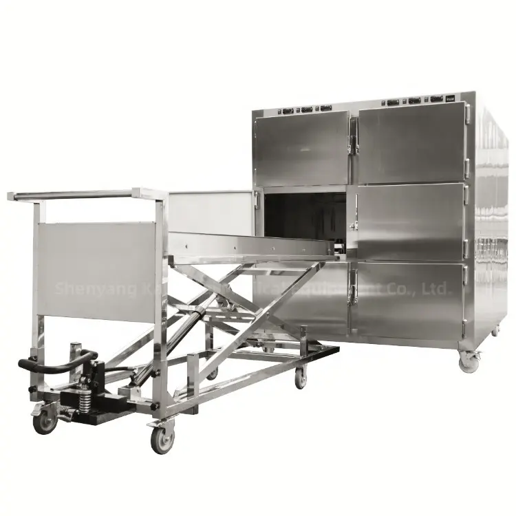 Refrigerador de acero inoxidable para el Hospital, suministros funerarios de 6 cuerpos, congelador de cuerpo entero