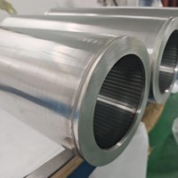 Filtre à bougie conique en fil métallique à paroi mince et à fentes étroites pour équipement de filtration de bière