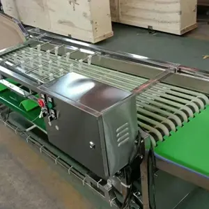 rail-mounted Fruit Olives Sorting Machine Cherry fruit Sorter fruit sorter grading machine