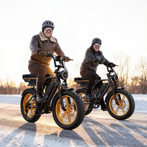 Bicicleta Eléctrica <span class=keywords><strong>Super73</strong></span> con Llantas Ultra Anchas, 140 km de Autonomía, 7 Velocidades, Pantalla LCD Resistente, Inclinación Máxima de 30° °   Portaequipajes Trasero para Bicicleta Tst R9 Ultra - Product Image 5