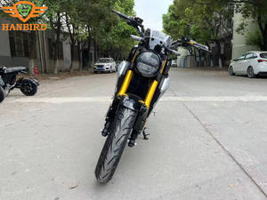 Moto Elettrica da Corsa Fuoristrada per Adulti Omologata EEC 3000W 5000W 8000W a Prezzo Conveniente - Product Image 4